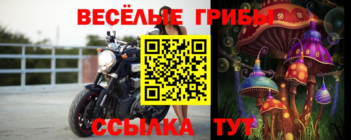 Миллерово  Псилоцибиновые грибы MAGIC MUSHROOMS  Вход с VPN  Псилоцибиновые грибы MAGIC MUSHROOMS 
