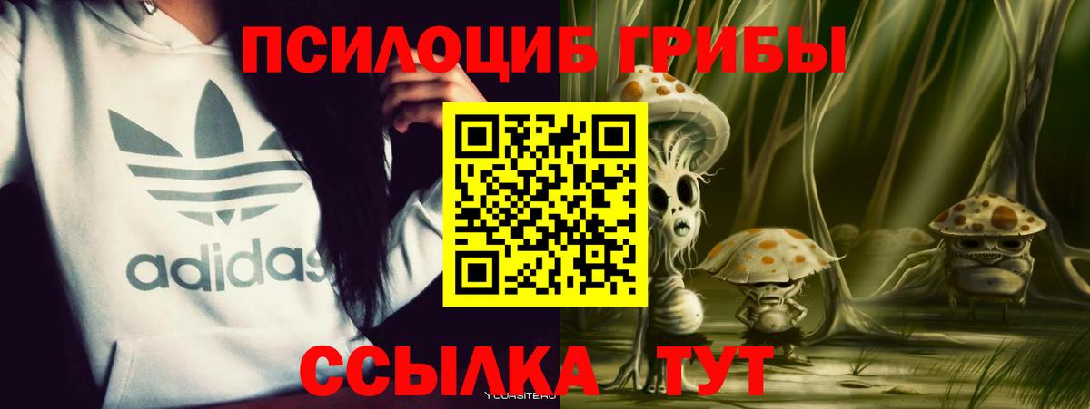 Галлюциногенные грибы прущие грибы Миллерово